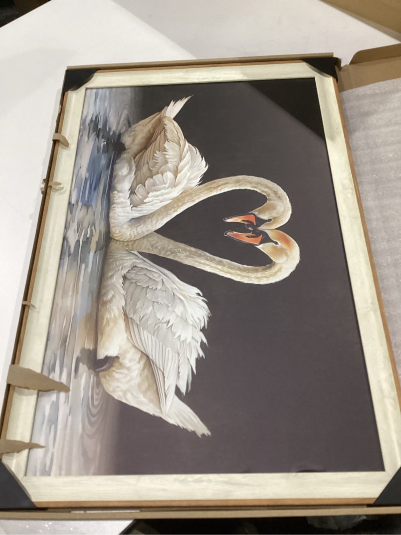 Condition photo showing New/Like New for laiart framed canvas wall art, swan canvas printing wall art, animal farmhouse wall decoration, 16x24 inch 16"l x 24"w multicolor-1