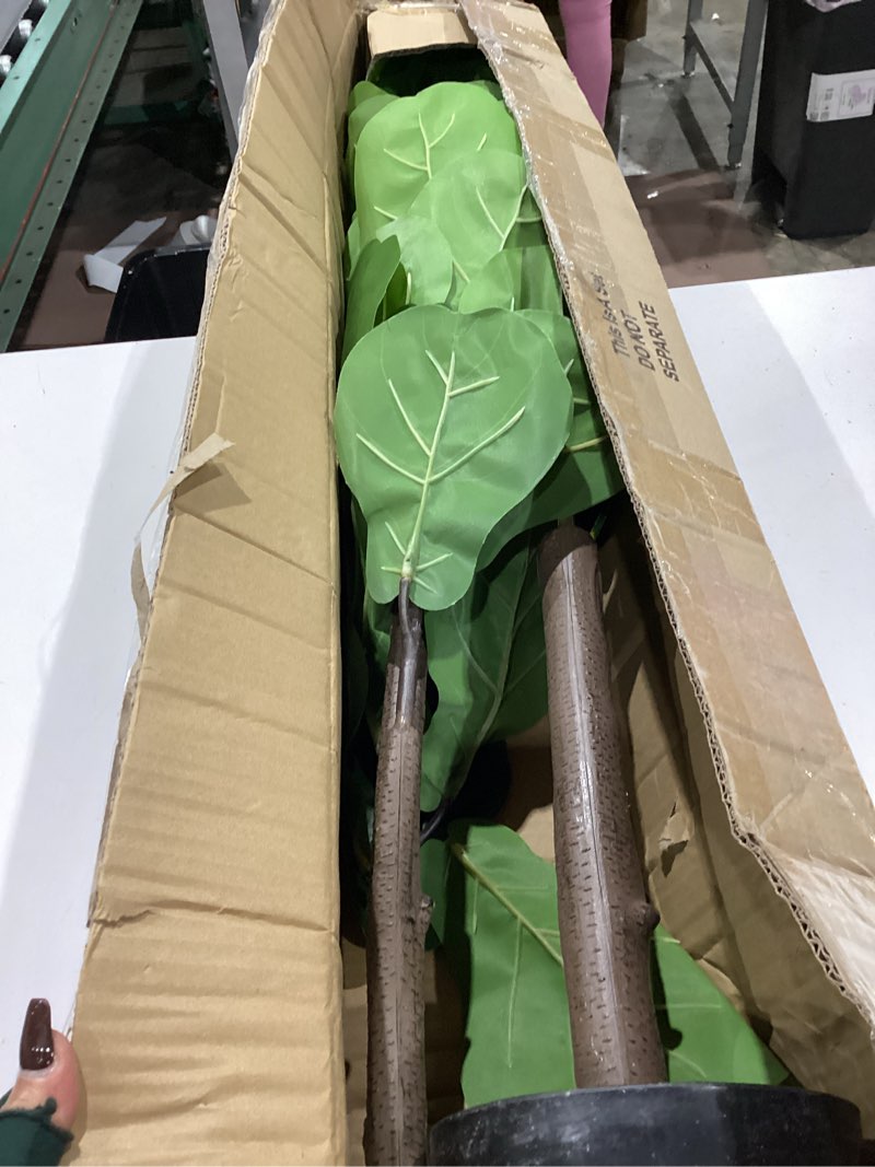 Condition photo showing Good Condition for pertivery artificial fiddle leaf fig tree 6ft, large faux plant fake ficus lyrata silk trees with pot for indoor outdoor house living room office home decor