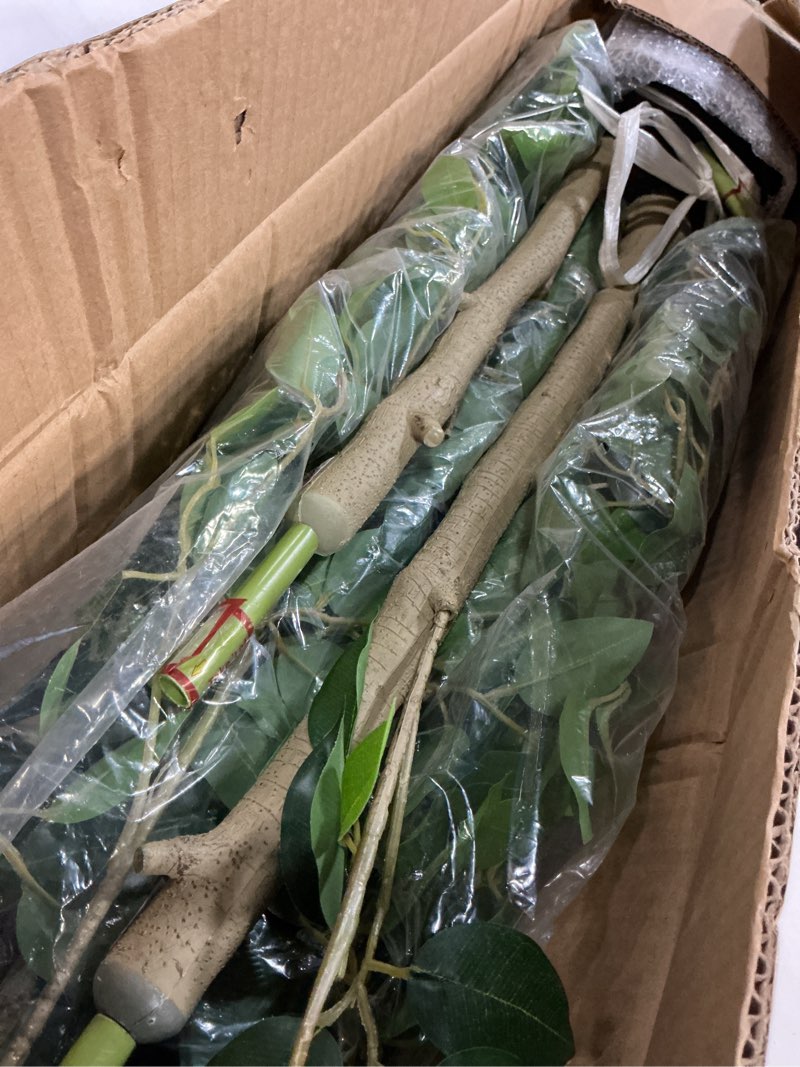 Condition photo showing Good Condition for Nafresh Tall UV Resistant Ficus Tree Artificial?7ft(84in) Realistic Texture Potted Faux Ficus Tree? Fake Trees Indoor Outdoor for Home Office Living Room Bedroom Foyer Porch Decor.