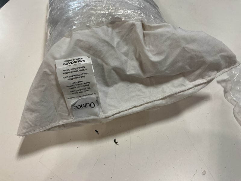Condition photo showing Good Condition for premium feather pillow insert, 12x20, no color