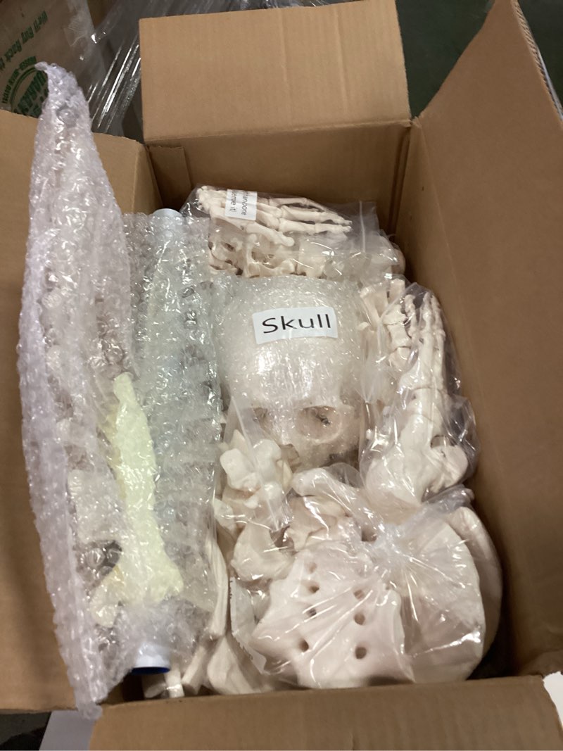 Condition photo showing New/Like New for breesky Disarticulated Human Skeleton Model for Anatomy Life Sized Anatomical Model 23 Intervertebral Discs 3 Part Skull with Movable Jaw Articulated Hand & Foot Includes Colored Poster