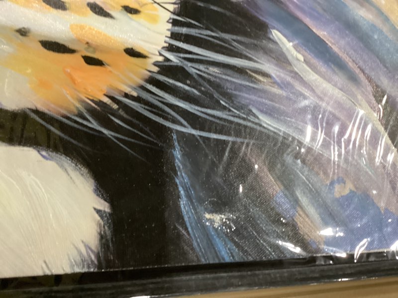 Condition photo showing As Is for Large wall art