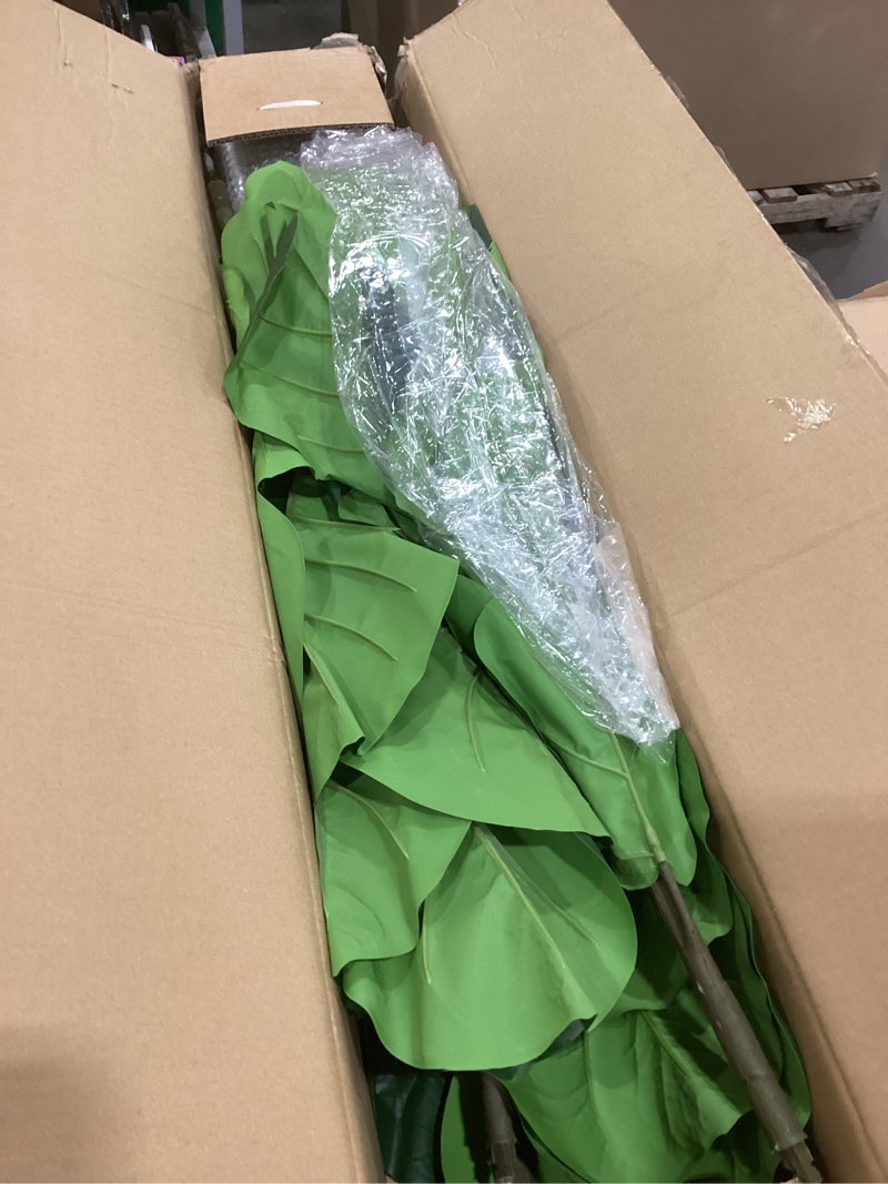 Condition photo showing Good Condition for 2 Pack Fiddle Leaf Fig Tree - Artificial Ficus Tree with Tall Artificial Plants Large 69 Fiddle Leaves -Fake Trees for Indoor Outdoor Home Decor Living Room 2 Pack 6 FT