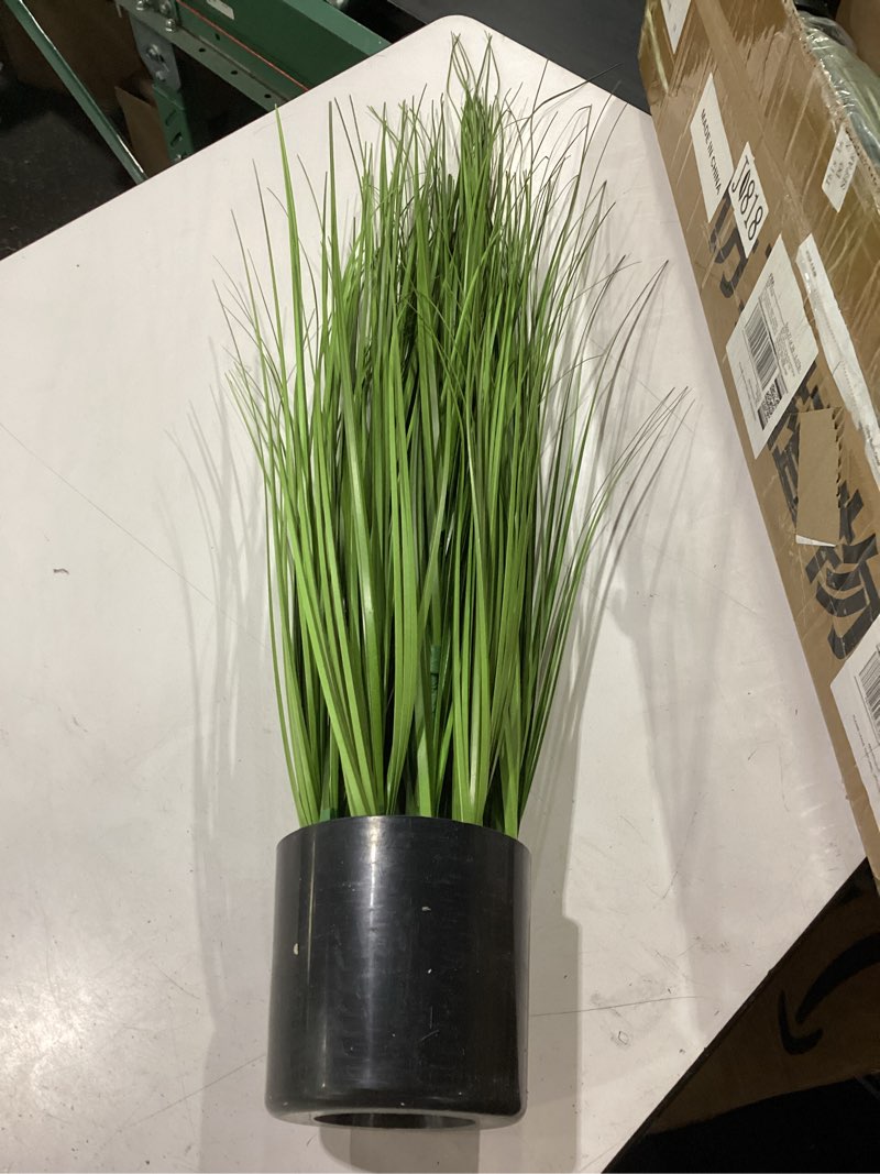 Condition photo showing New/Like New for jexine 2 pieces tall artificial grass plant potted artificial greenery floor plants fake pampas grass tall in pot for housewarming gift house garden bathroom lobby indoor outdoor (autumn,4 ft) 2 autumn 4 ft