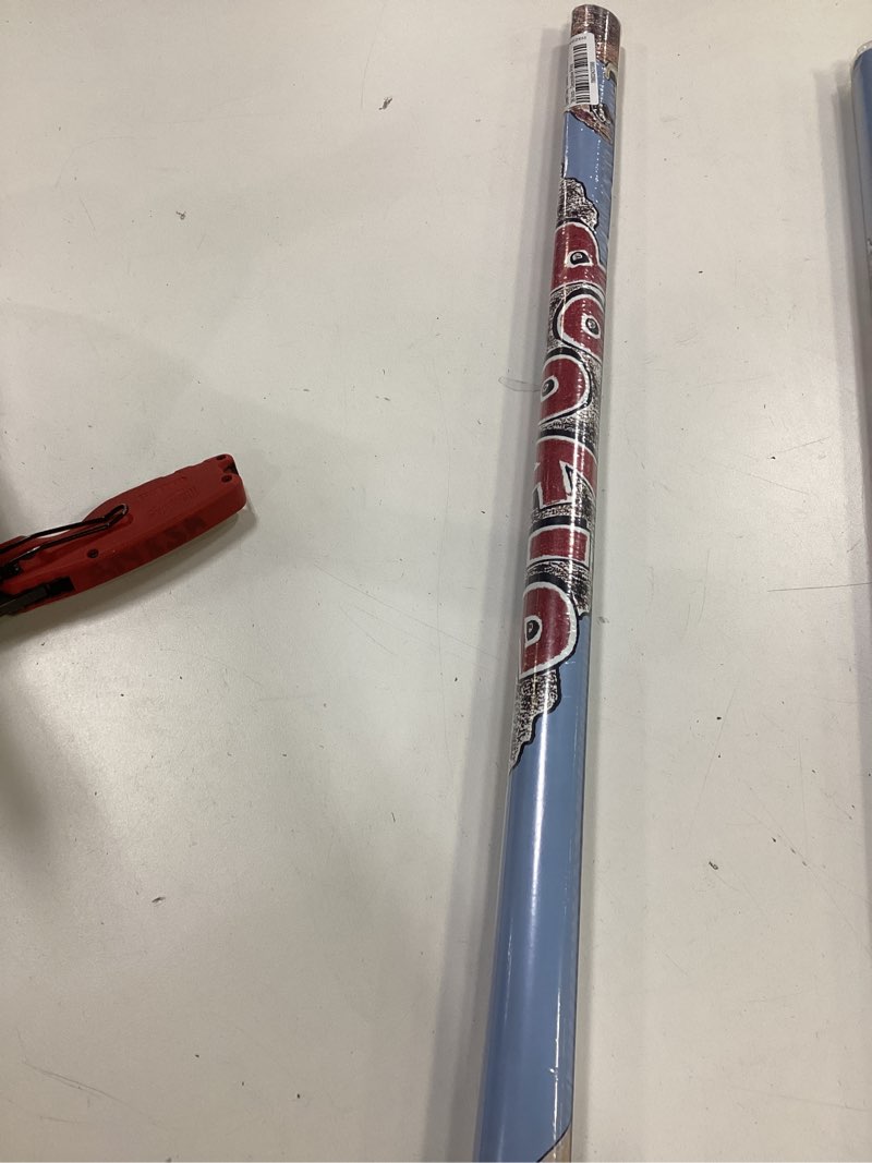 Greenday dookie art poster 24x36