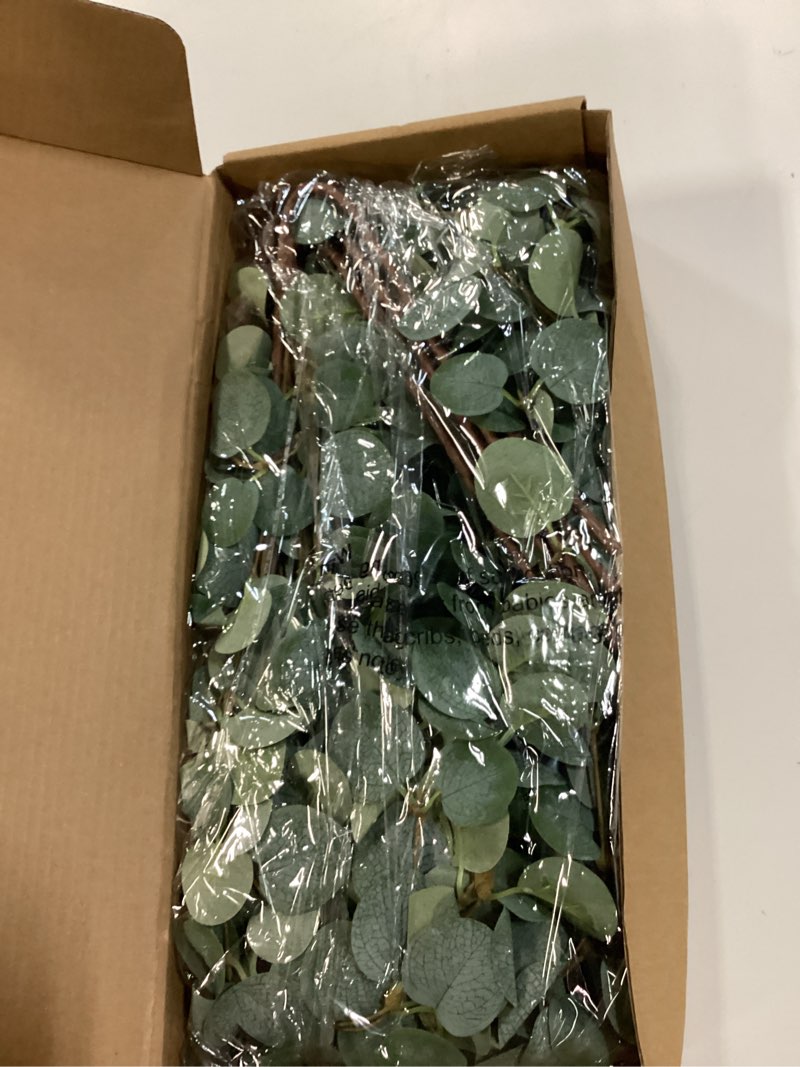 Condition photo showing New/Like New for 12 pcs 27" eucalyptus stems greenery stems eucalyptus leaf spray in green silk plastic plants floral artificial plants for home party wedding decoration green -12 pcs