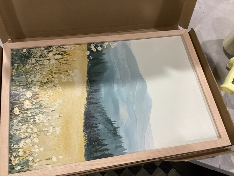 Condition photo showing As Is for 3 pcs framed mountain wildflower wall art triptych natural landscape canvas prints large farmhouse daisy poster botanical picture painting for living room bedroom decor 16x24in mountain landscape 16x24 inches