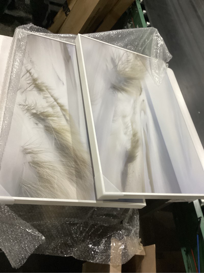 Condition photo showing New/Like New for stupell industries windblown beach grasses 2 piece canvas wall art set design by lazar studio, 30 x 20 30"l x 20"w