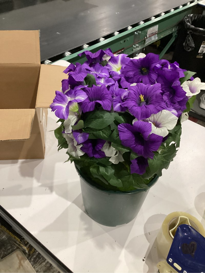 Condition photo showing Good Condition for martine mall artificial flowers for outdoors, 1 potted realistic fake outdoor flowers, uv resistant silk petunia flower for outside look real faux flower plants in pot for porch garden decor, 20'' purple white 1 pot