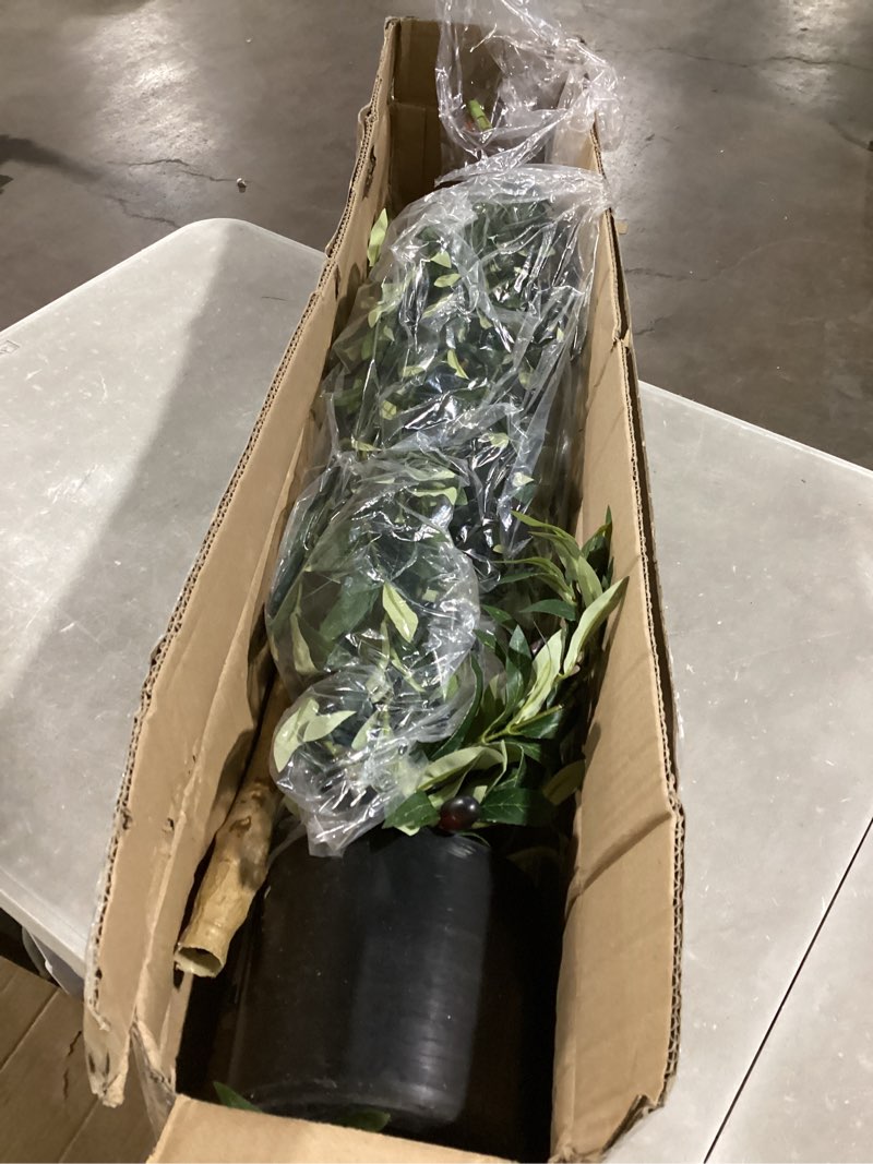Condition photo showing Good Condition for Bellacat Faux Olive Tree 7ft?Olive Trees Artificial Indoor with Natural Wood Trunk and Realistic Leaves and Fruits. 7 Feet(84in) Fake Olive Tree for Home House Office Décor. 1 7ft