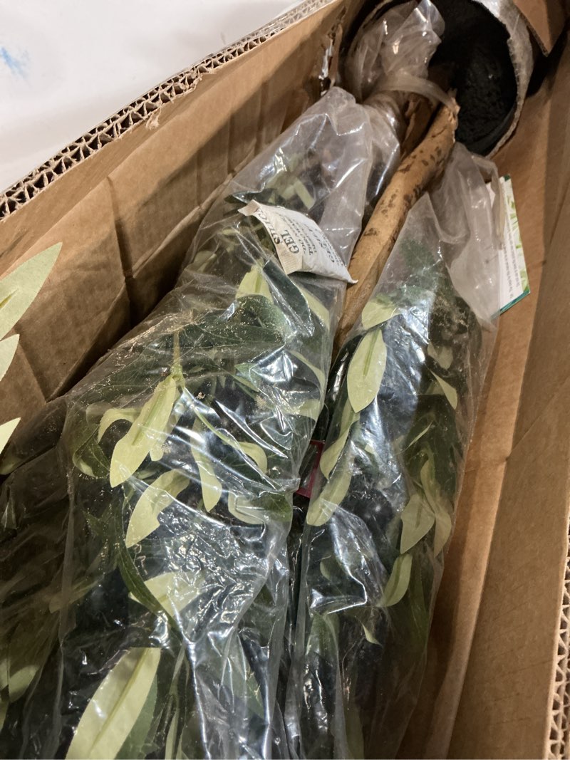 Condition photo showing As Is for Bellacat Faux Olive Tree 6ft?Olive Trees Artificial Indoor with Natural Wood Trunk and Realistic Leaves and Fruits. 6 Feet(72in) Fake Olive Tree for Home House Office Décor. 1 6ft