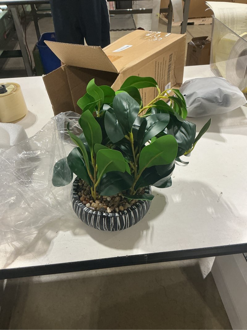 Condition photo showing Good Condition for alphaacc fake plants artificial indoor succulents home office decor | artificial plants with rustic black clay planter ideal bathroom kitchen office farmhouse desk living room indoor decor