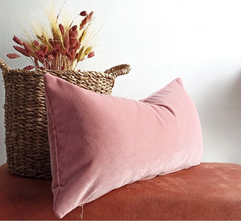 Pink velvet rectangle pillow 
