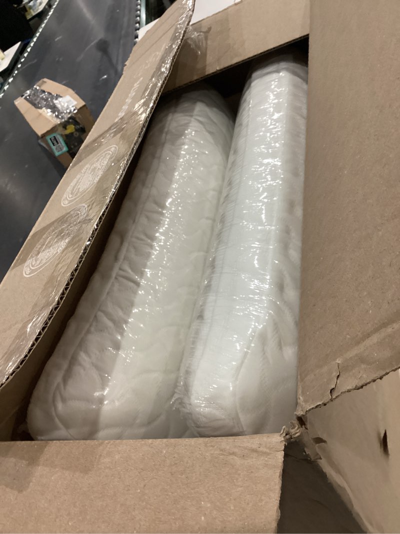 Condition photo showing New/Like New for tempur-pedic tempur-cloud pillow, standard-2-pack, standard, white 2 count