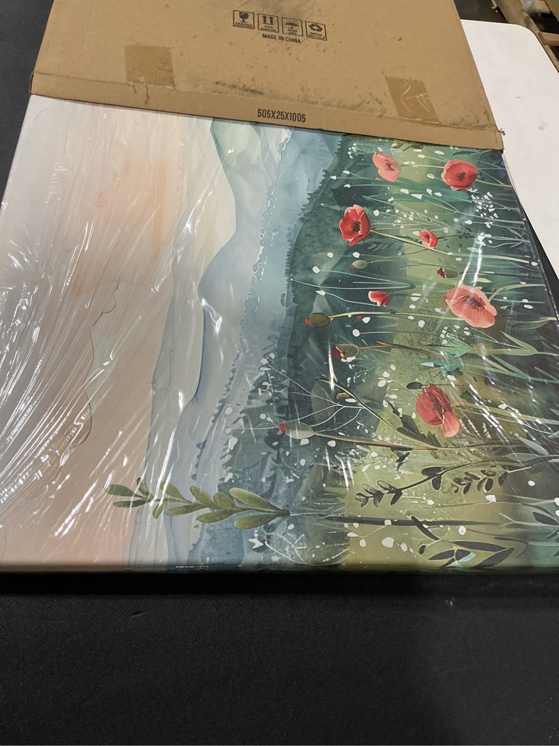 Condition photo showing Good Condition for Tucai Decor Floral Landscape Canvas Wall Art 20 x 40 inches Poppies in Mountain Valley Home Decor Art Prints for Living Room Bedroom Office Ready to Hang Multicolor-2 40"L x 20"W
