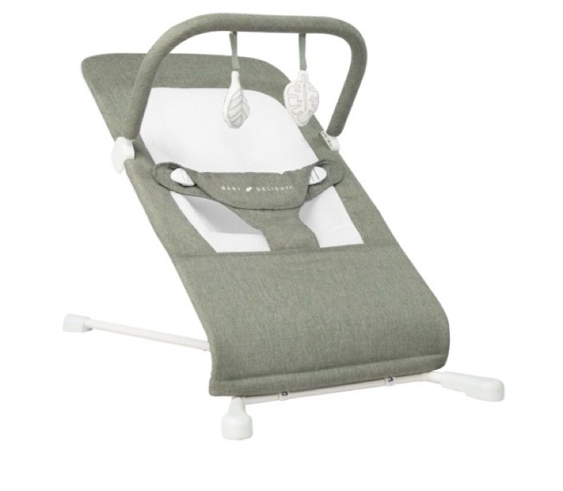 baby delight highland portable bouncer