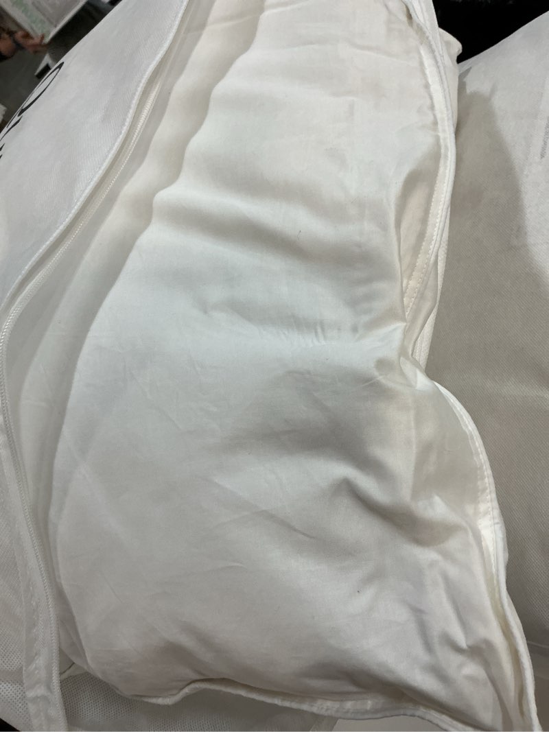 Condition photo showing As Is for quince premium down pillow