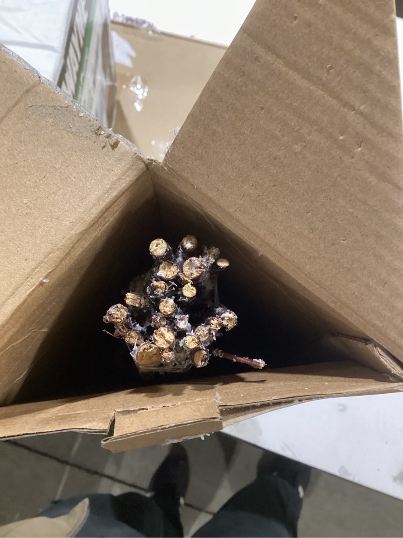 Condition photo showing Good Condition for Decorative Birch Branches, 23 Inch Brich Stems for Wedding Decor,Dried Twigs for Christmas Decor (Snowflake Implant)