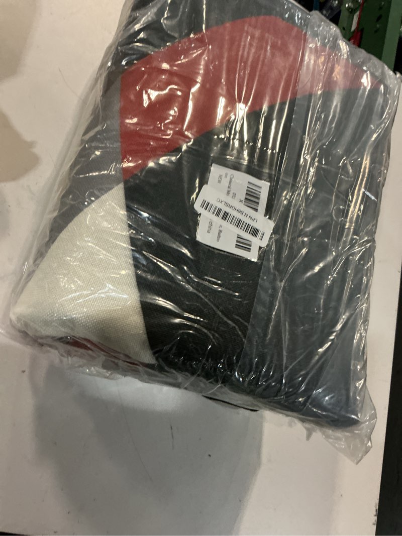 Condition photo showing Good Condition for classical modern black and red stripe pattern area rug for living room 5x7 outdoor rug non slip&non-shedding low pile indoor large carpets for bedroom, dining room, home office, bathroom black and red 5' x 7' (rectangular)