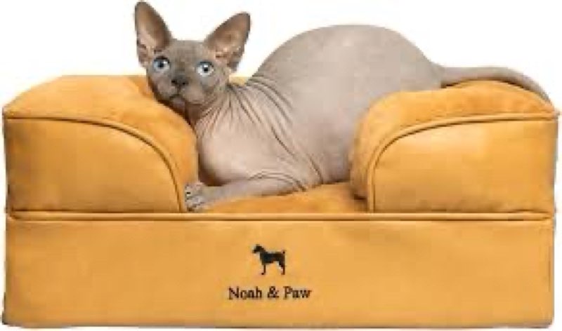 noah & paw small dog bed, 20x15x8 inch, cat bed for indoor cats, orthopedic eggshell memory foam inf