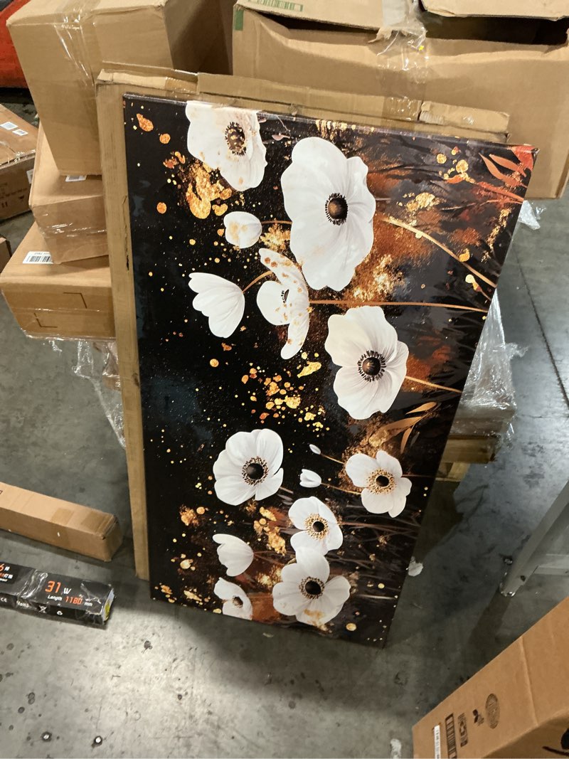 Condition photo showing Good Condition for Modern White Poppies Canvas Wall Art for Bedroom Office Home Decor Black and Gold Floral Print Wall 