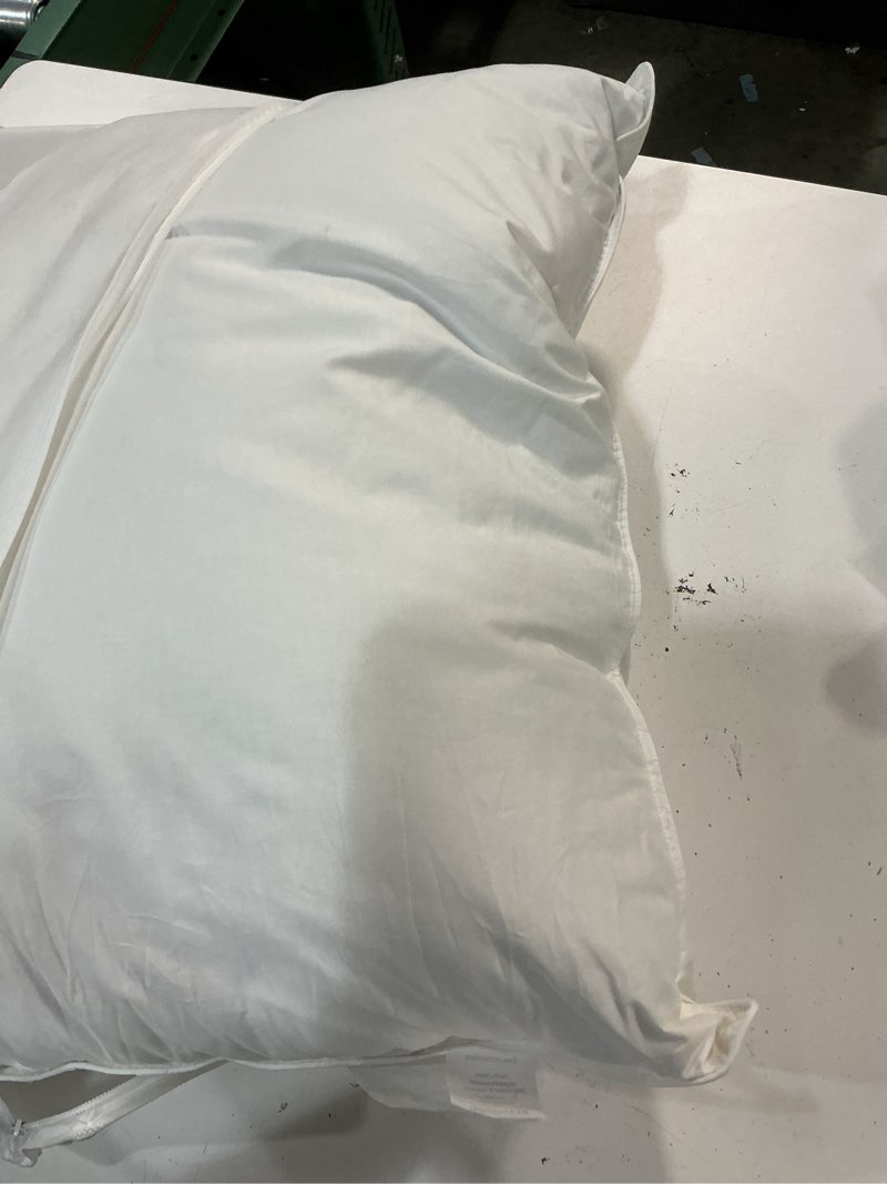 Condition photo showing As Is for medium quin goose down pillow 