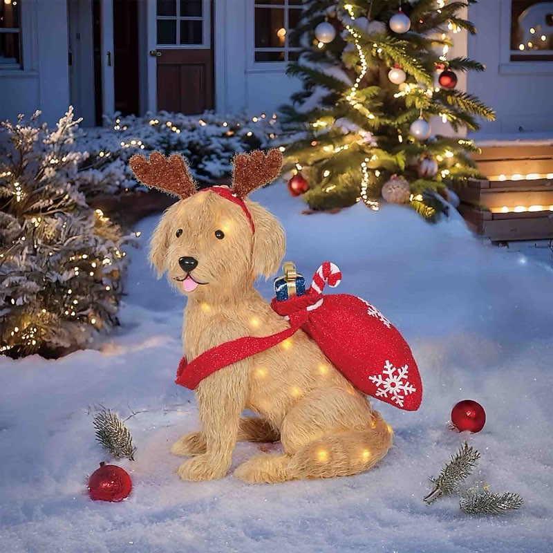Holiday Living 2-ft LED Retriever with Backpack Decoration in the Outdoor