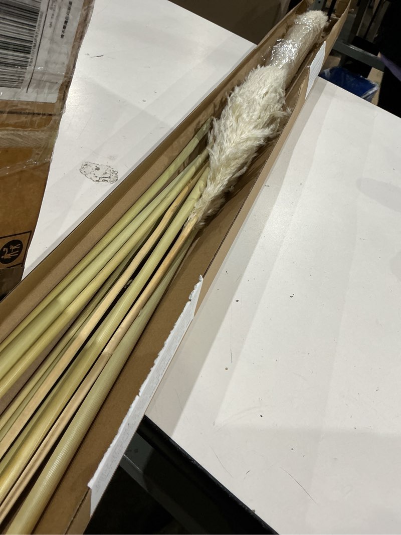 Condition photo showing As Is for 55" inch scarcity natural pampas grass decor tall, pompas grass, tall pampas grass for wedding, party, farmhouse, boho home decor