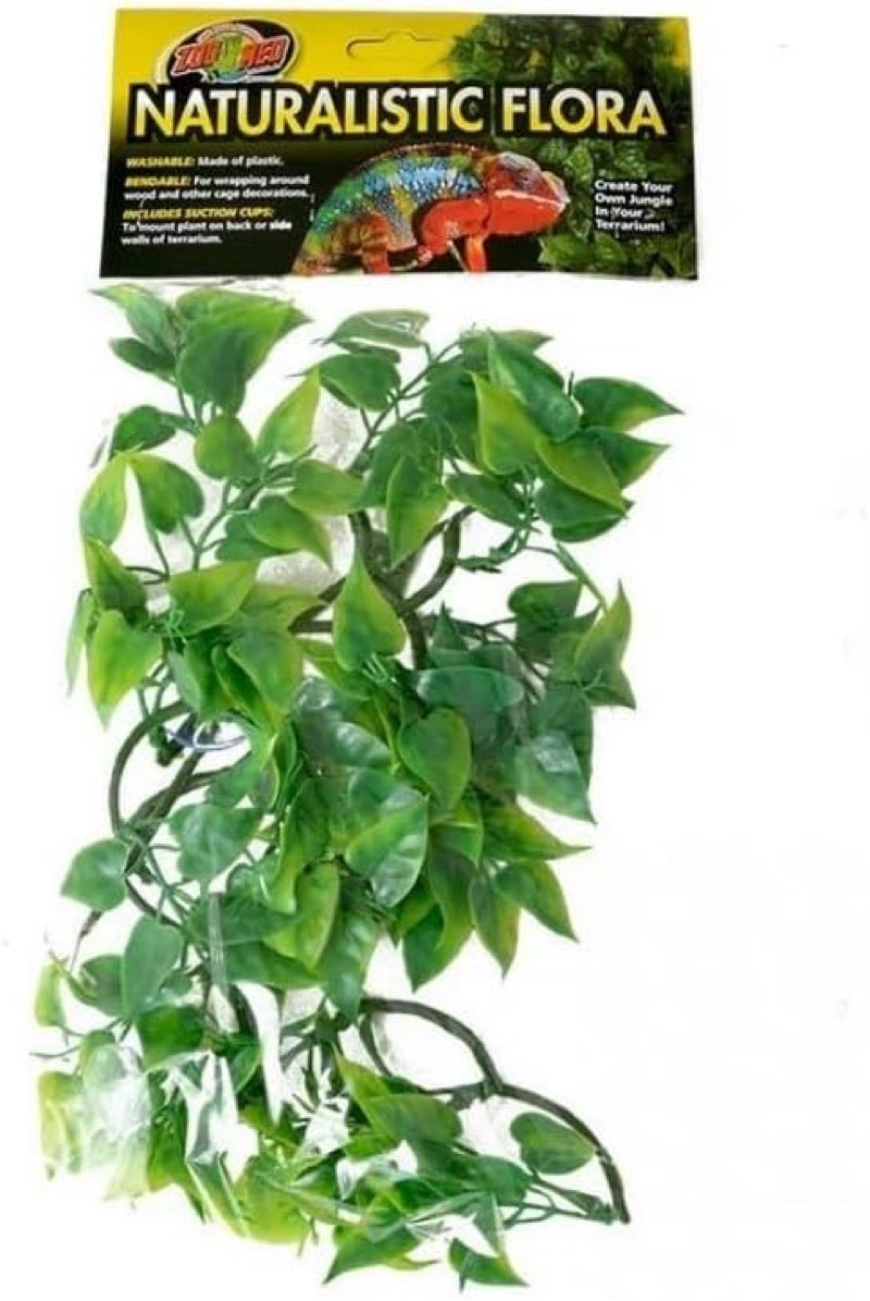 Zoo Med Natural Bush - Mexican Phyllo Aquarium Plant Small