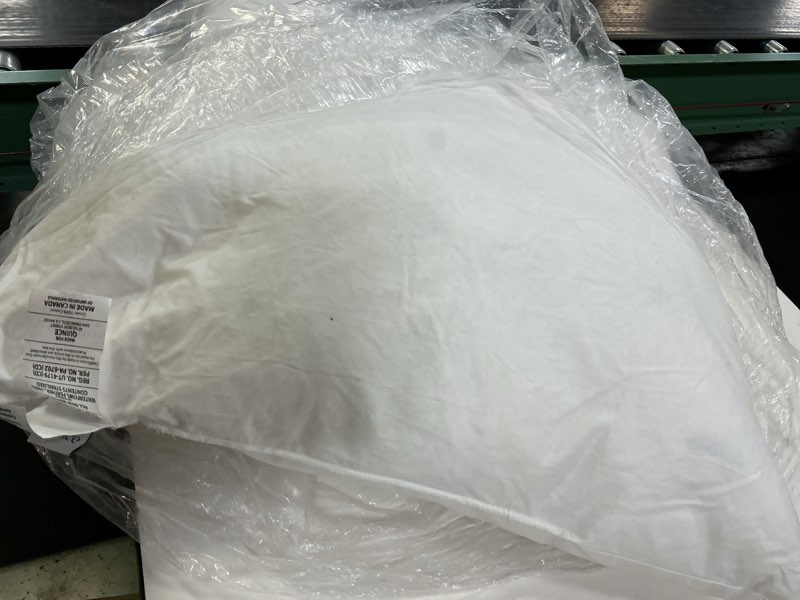 Condition photo showing Good Condition for premium feather pillow insert (26x26)