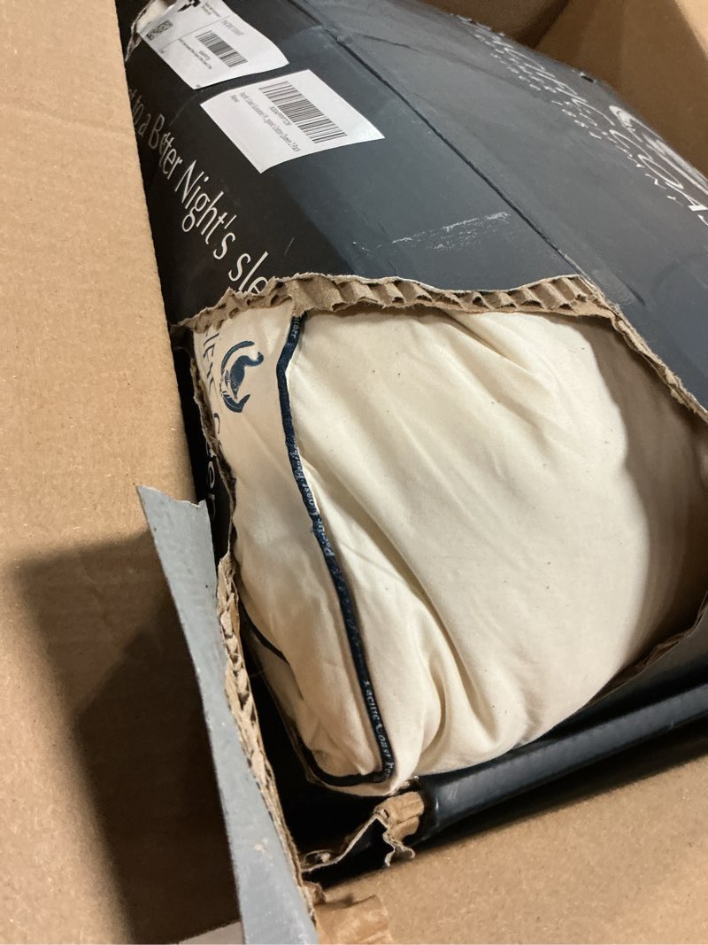Condition photo showing As Is for pacific coast goose feather and down pillows, queen size set of 2, gusseted pillows, bed pillows for
