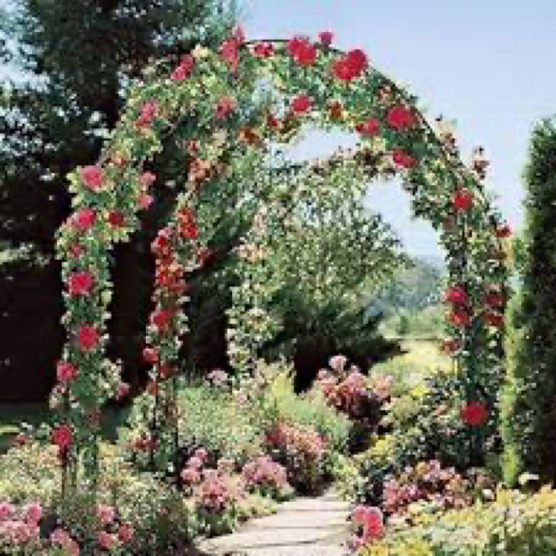 Metal Pergola Arbor,4.6 Feet Wide x7.9 Feet High Assemble Freely for Various Climbing Plant Wedding 