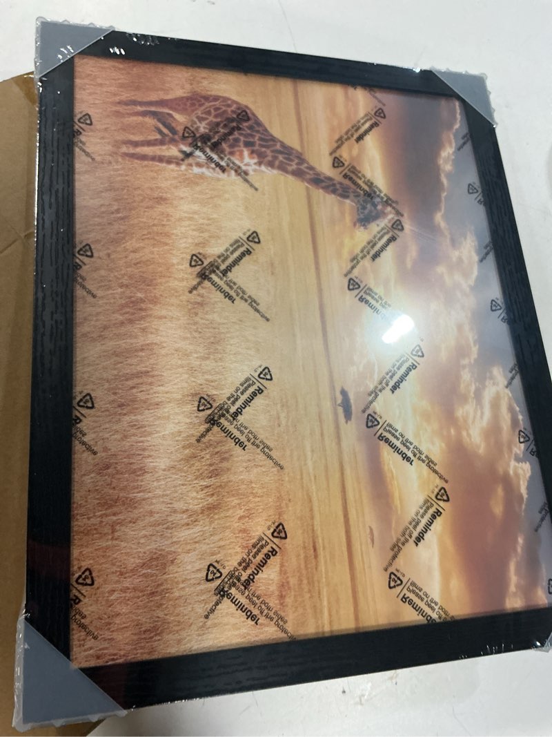 Condition photo showing New/Like New for 12x15 picture frame set of 5, black photo frames high transparent wall gallery desktop horizontal vertical for canvas collage photo poster certificate 12 x 15 inches black 12x15