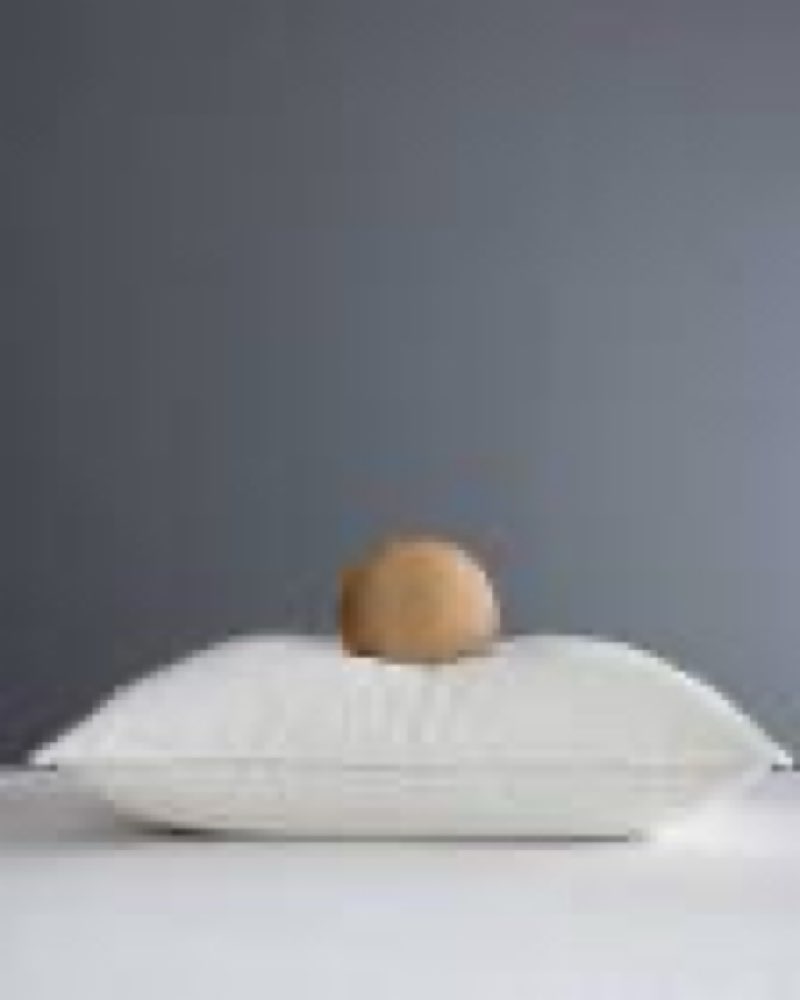 Luxe Goose Down Pillow, Standard, Medium