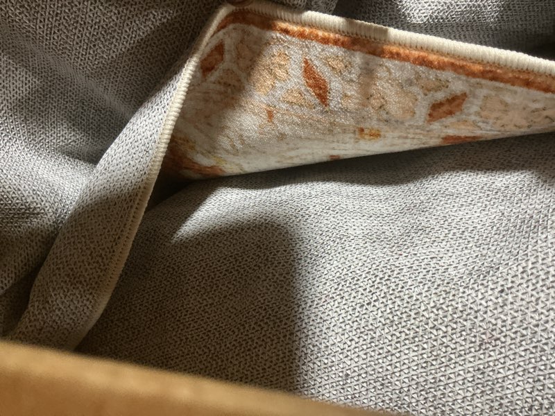 Condition photo showing Good Condition for Deerly Large Washable Area Rug 8x10 for Living Room Bedroom Boho Vintage Oriental Rug for Dining Room Non-Slip Soft Low-Pile Farmhouse, Caramel/Beige/Multi Caramel &Beige & Multi 8' x 10' (Rectangular)