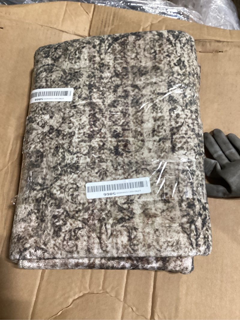 Condition photo showing Good Condition for loloi palma brown / earth area rug