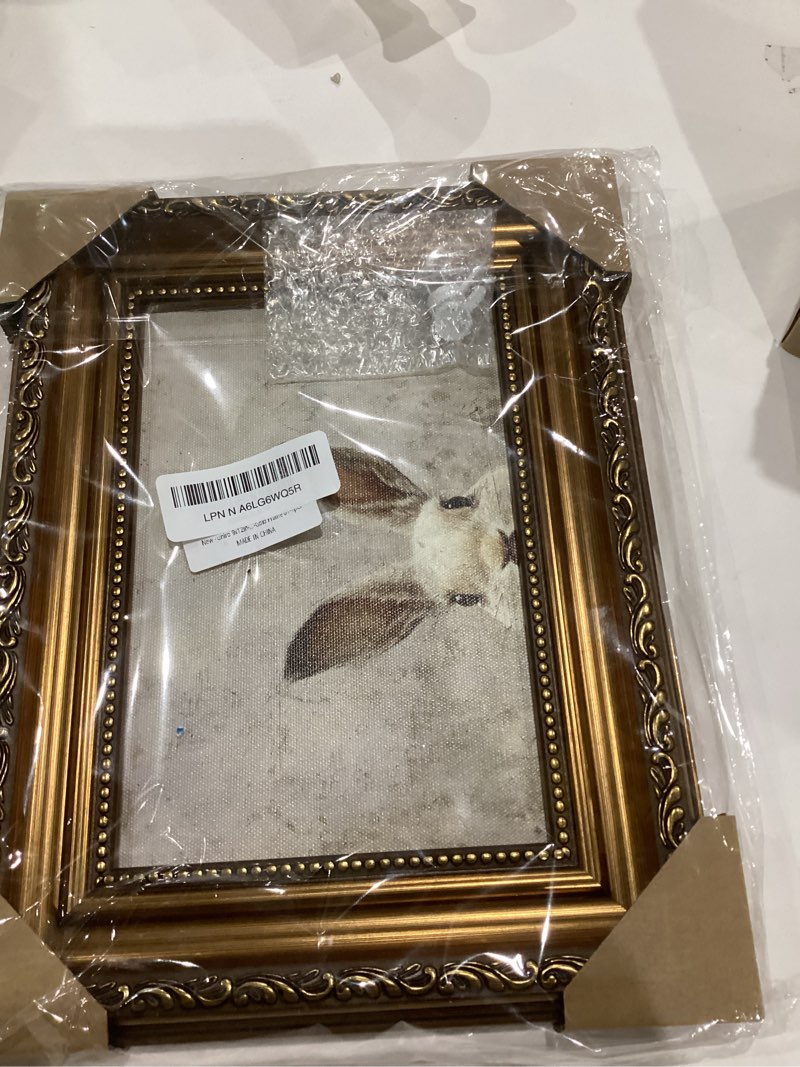 Condition photo showing Good Condition for Uniro Vintage Gold Framed Wall Art, Easter Bunny Wall Art Decor, Neutral Rabbit Canvas Oil Painting Poster for Rustic Easter Décor, Vintage Home Decor Animals Artwork Prints Wall Decor for Kids Room, Living Room, Bedroom or Festive Spaces - 9x12inch 12"L x 9"W Bunny