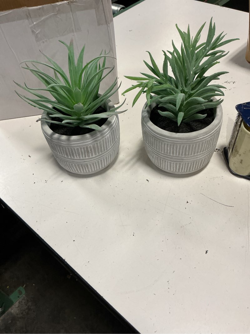 Condition photo showing Good Condition for der rose 2 pack fake succulents plants artificial succulents in pots for room home bathroom bedroom office boho decor