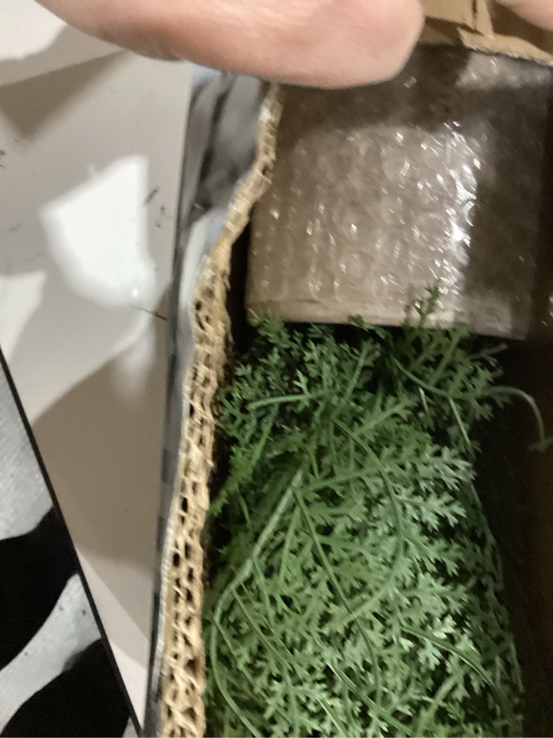 Condition photo showing Good Condition for Briful Small Fake Plant Potted Plants Artificial Decor Plastic Asparagus Ferns Plant Faux Plants in Pots for Home Living Room Bedroom Desk Shelf Farmhouse Decoration Color #03