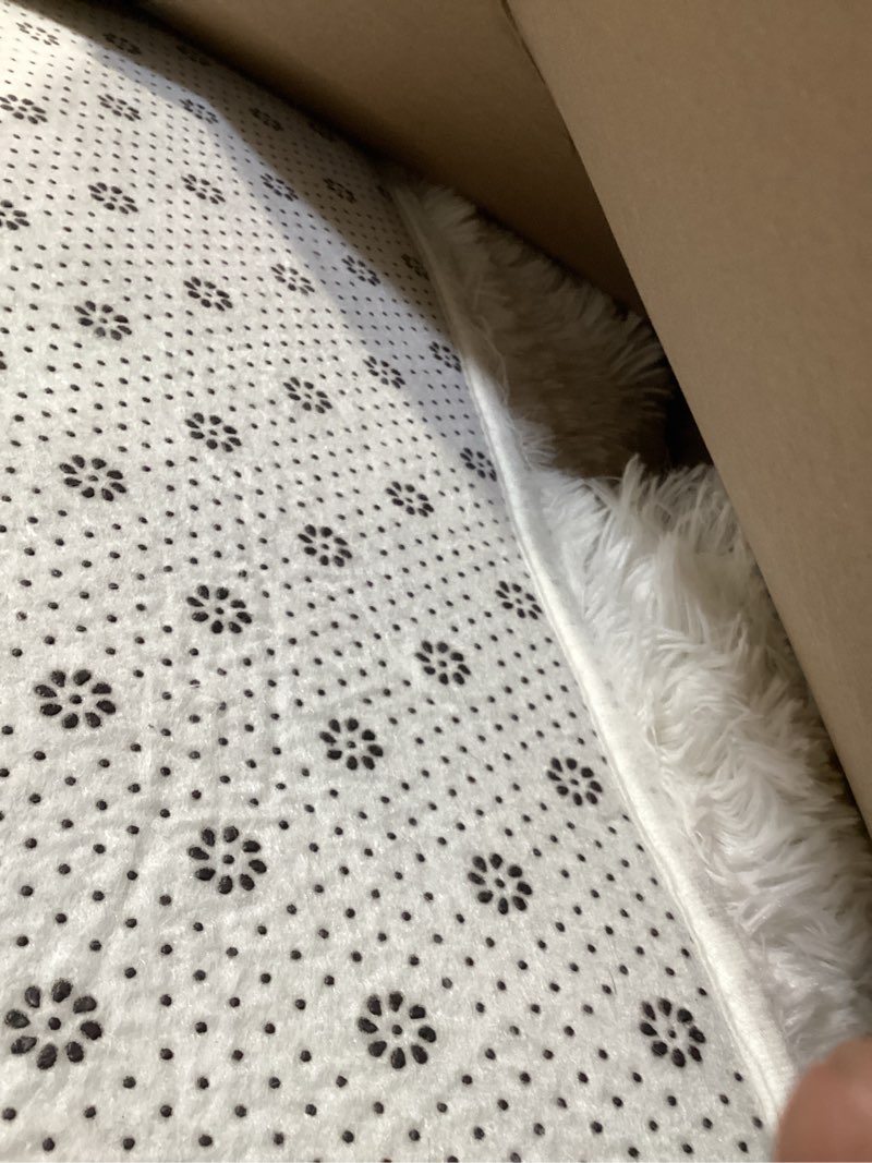 Sour Lemon Area Rugs 9x12 Living Room, Cream Large Area Rug Shag Shaggy Carpet Soft Plush Furry Beds