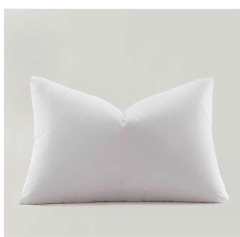 quince  luxe goose down  pillow  750  fill power 