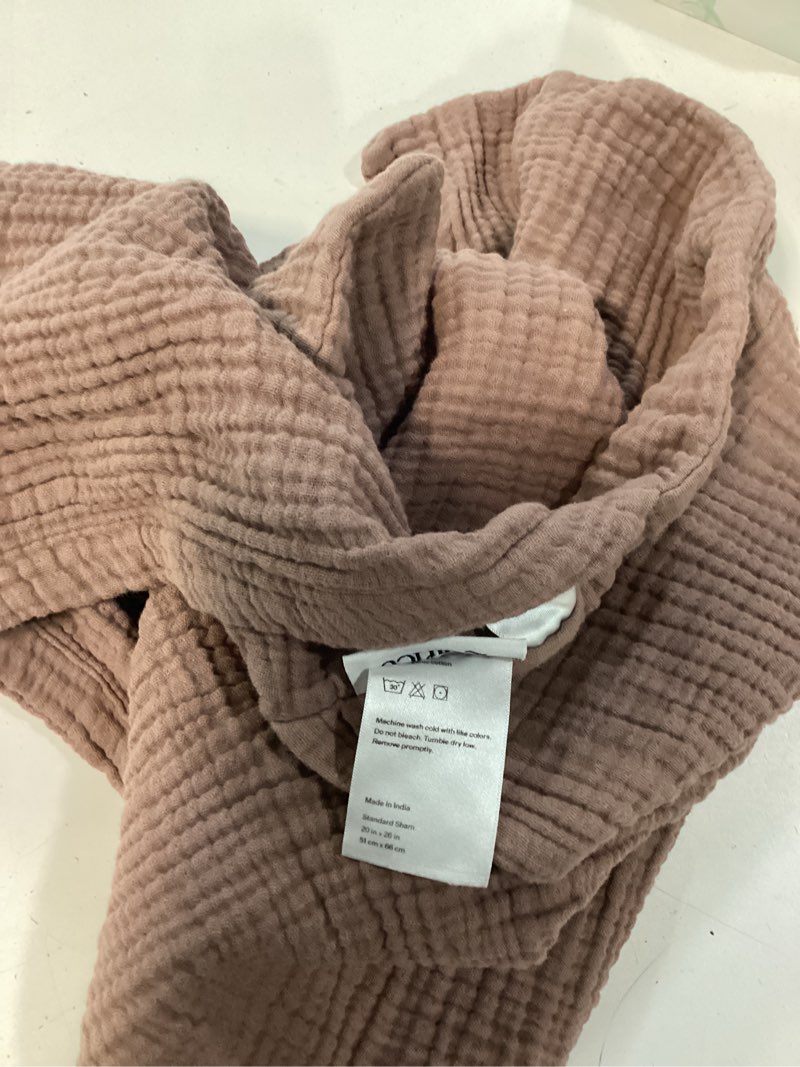 Condition photo showing New/Like New for 20x26 in sham fig color