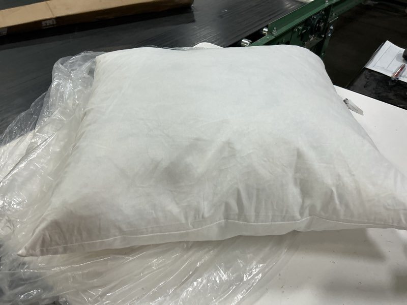 Condition photo showing As Is for premium feather pillow insert (set of 1), 20x20, no color