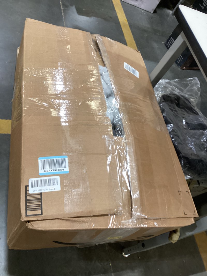 Condition photo showing As Is for Dog bed