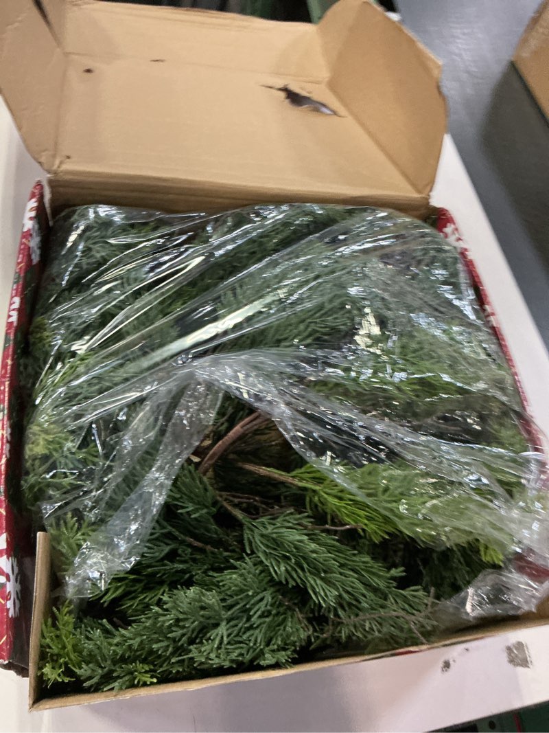 Condition photo showing As Is for 9 Ft Real Touch Christmas Garlands,Thick and Lush?Bendable guirnaldas navideñas, Pine Cedar Garland Artificial Realistic, Christmas Garland for Mantle,Indoor Outdoor Christmas Decorations Green 9ft