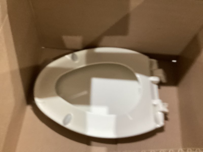 Toilet seat