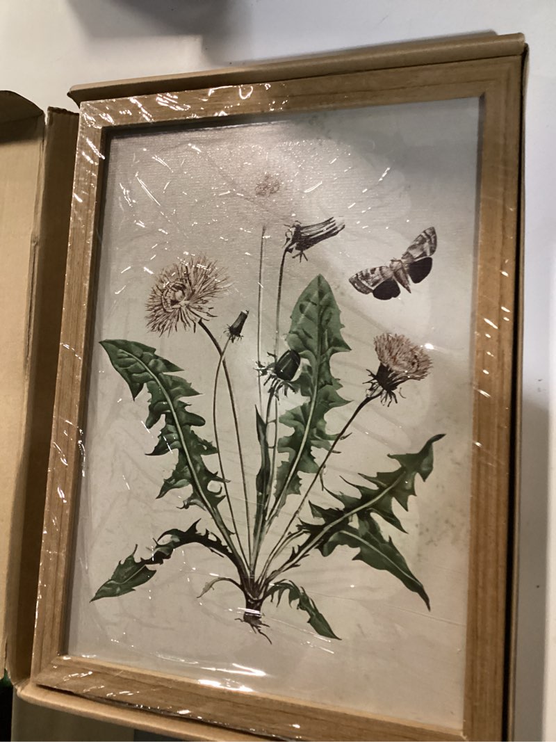 Condition photo showing New/Like New for 2ps framed botanical wall art vintage farmhouse floral canvas painting prints artwork for bathroom walls rustic flower butterfly pictures for kitchen bedroom hallway home decor 12x16in beige 12x16in