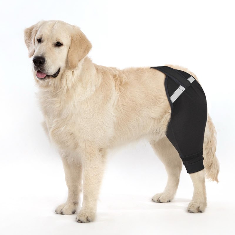 Petdream Dog Rear Leg Sleeve to Stop Licking, Upgraded Leg Shap to Stop Slipping, for TPLO Surgery, 