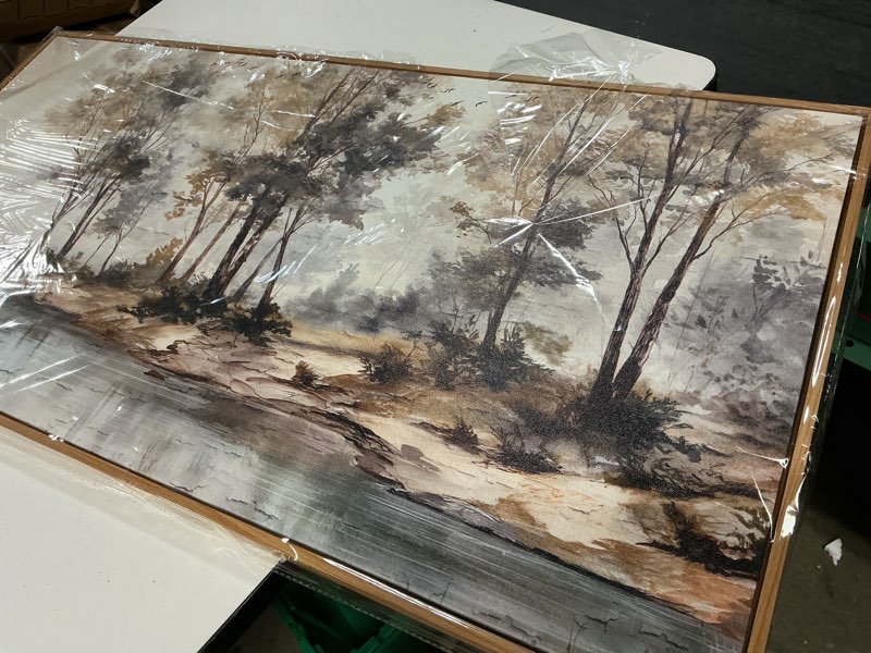 Condition photo showing Good Condition for (similar)j lapremoly large wall decor for living room framed wall art for bedroom abstract tree painting wall artworks hang pictures for office decoration canvas prints room home decorations posters 20\"x40\" 40\"l x 20\"w abstract tree landscape painting