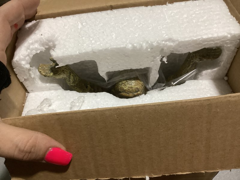 Condition photo showing New/Like New for Penn-Plax Standing Buddha Aquarium Decoration 10-inch (B00W5TIGTG)